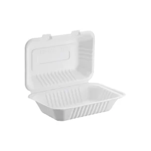 9x6bagasse