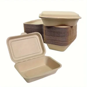 Takeout Food Containers